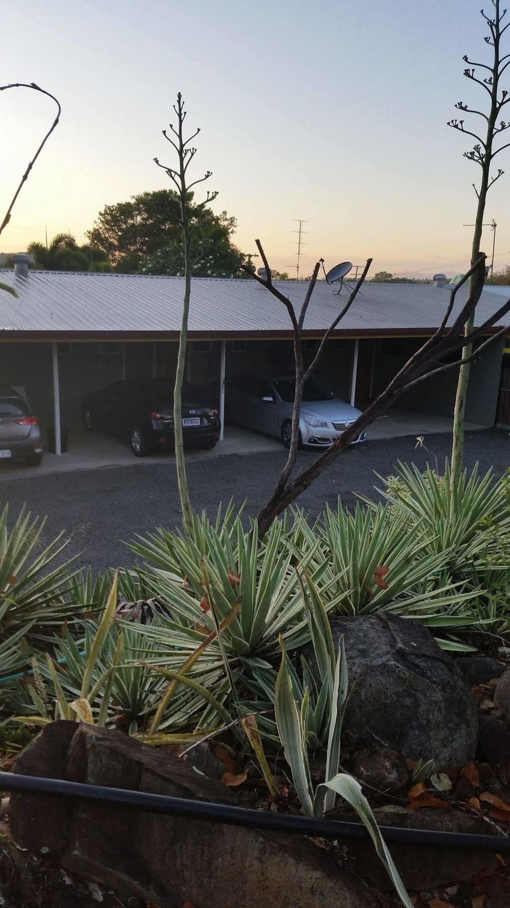 Motel Ocean View 3*